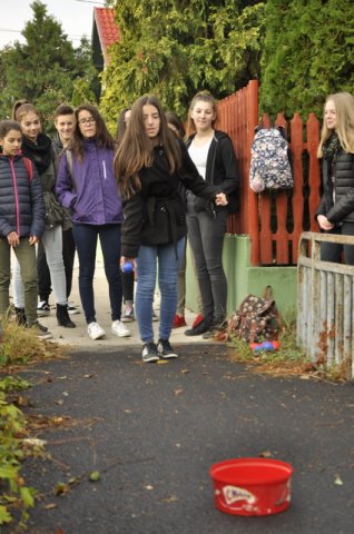 Csibetábor az Aranyban 12